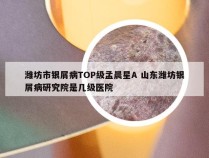 潍坊市银屑病TOP级孟晨星A 山东潍坊银屑病研究院是几级医院