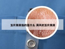 玉片银屑指的是什么 满天的玉片银屑