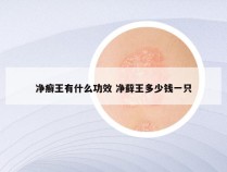 净癣王有什么功效 净藓王多少钱一只