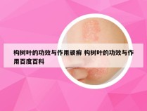 构树叶的功效与作用顽癣 构树叶的功效与作用百度百科