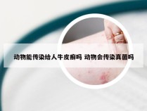 动物能传染给人牛皮癣吗 动物会传染真菌吗