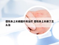 德牧身上长癣图片和治疗 德牧身上长癣了怎么治