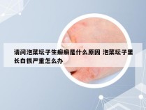 请问泡菜坛子生癣癣是什么原因 泡菜坛子里长白很严重怎么办