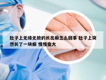 肚子上无缘无故的长出癣怎么回事 肚子上突然长了一块癣 慢慢变大