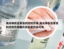 海川神农百草膏的功效作用 海川神农百草膏的功效作用图片扶氏堂药店可有