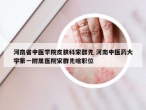 河南省中医学院皮肤科宋群先 河南中医药大学第一附属医院宋群先啥职位