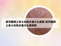 夏天胳膊上有小白斑点是什么原因 夏天胳膊上有小白斑点是什么原因呢