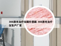 308激光治疗仪图片德国 308激光治疗仪生产厂家