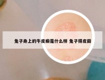 兔子身上的牛皮癣是什么样 兔子得皮藓